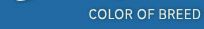 By color of breed
